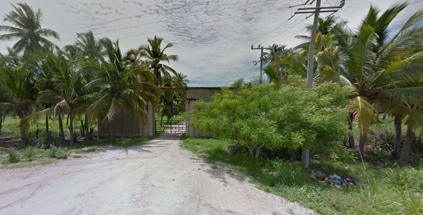 LOTE7