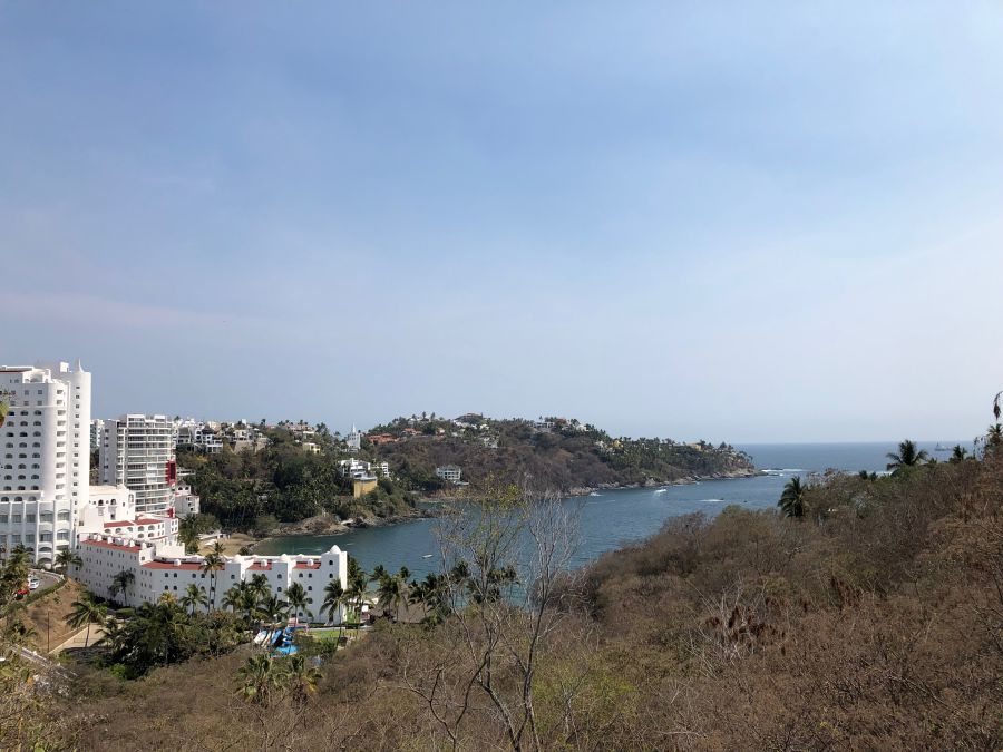 IMG_6771