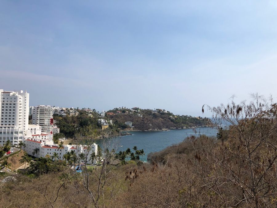 IMG_6782